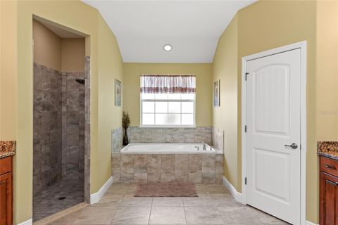 Tiny photo for 14820 Borromini Street, Montverde, FL 34756 (MLS # O6407586)