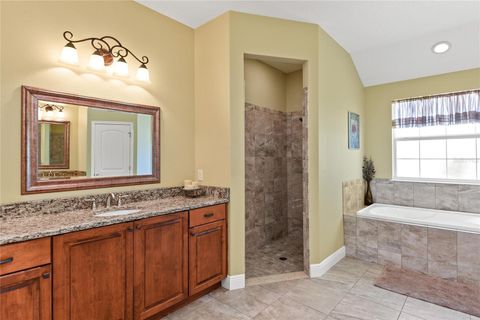 Tiny photo for 14820 Borromini Street, Montverde, FL 34756 (MLS # O6407586)