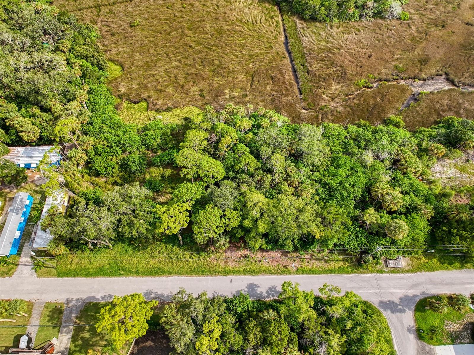 DRIFTWOOD ISLES - Land