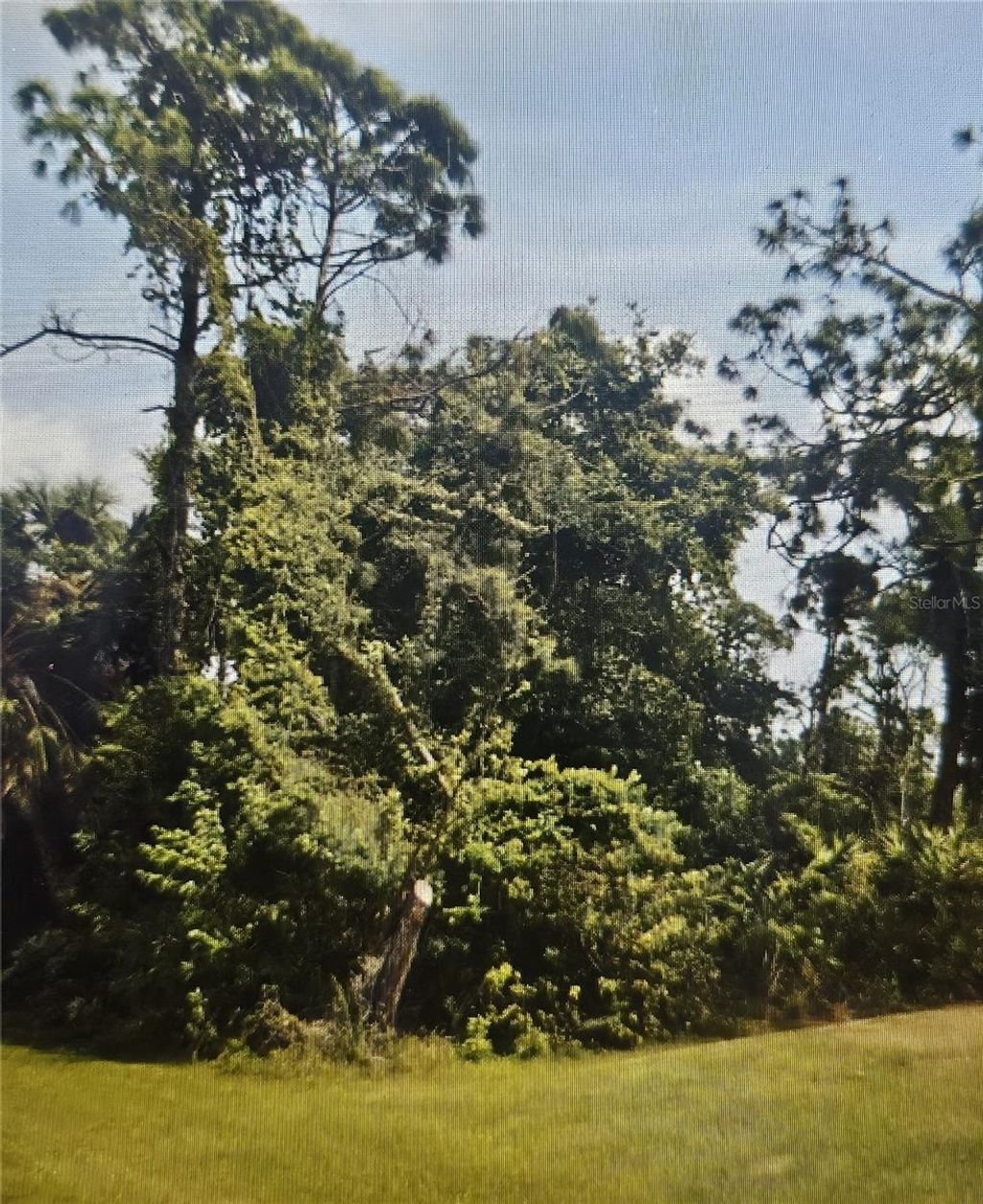 Photo of 5400 Kaspar Street, Port Charlotte, FL 33981 (MLS # C7511603)