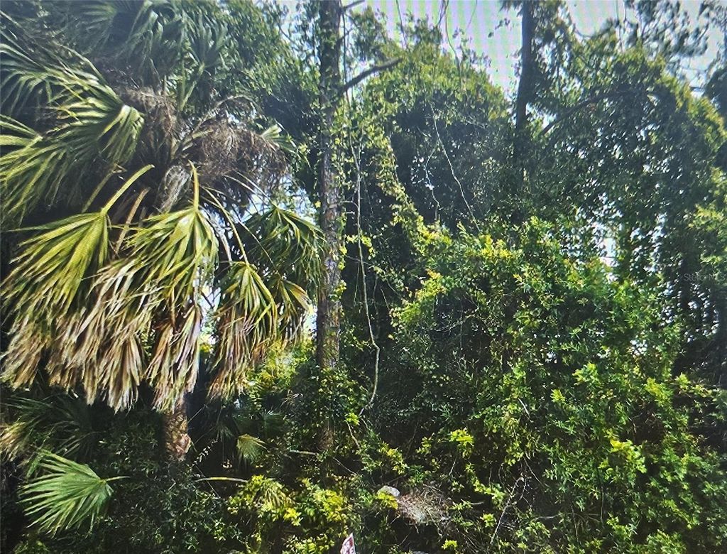 Photo of 5400 Kaspar Street, Port Charlotte, FL 33981 (MLS # C7511603)