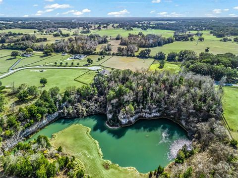 Tiny photo for 9805 NW 6th Court, Ocala, FL 34475 (MLS # OM716625)