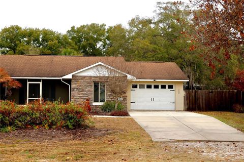 Photo of 7023 Wright Avenue, Mount Dora, FL 32757 (MLS # O6383746)