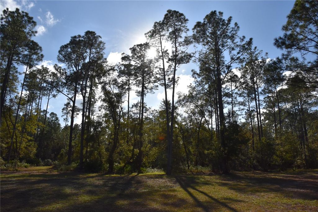 Photo of 150 Caravelle Farms Road, Palatka, FL 32177 (MLS # OM716388)