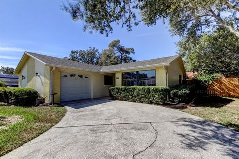 Photo of 1404 Castleworks Lane, Tarpon Springs, FL 34689 (MLS # TB8421479)