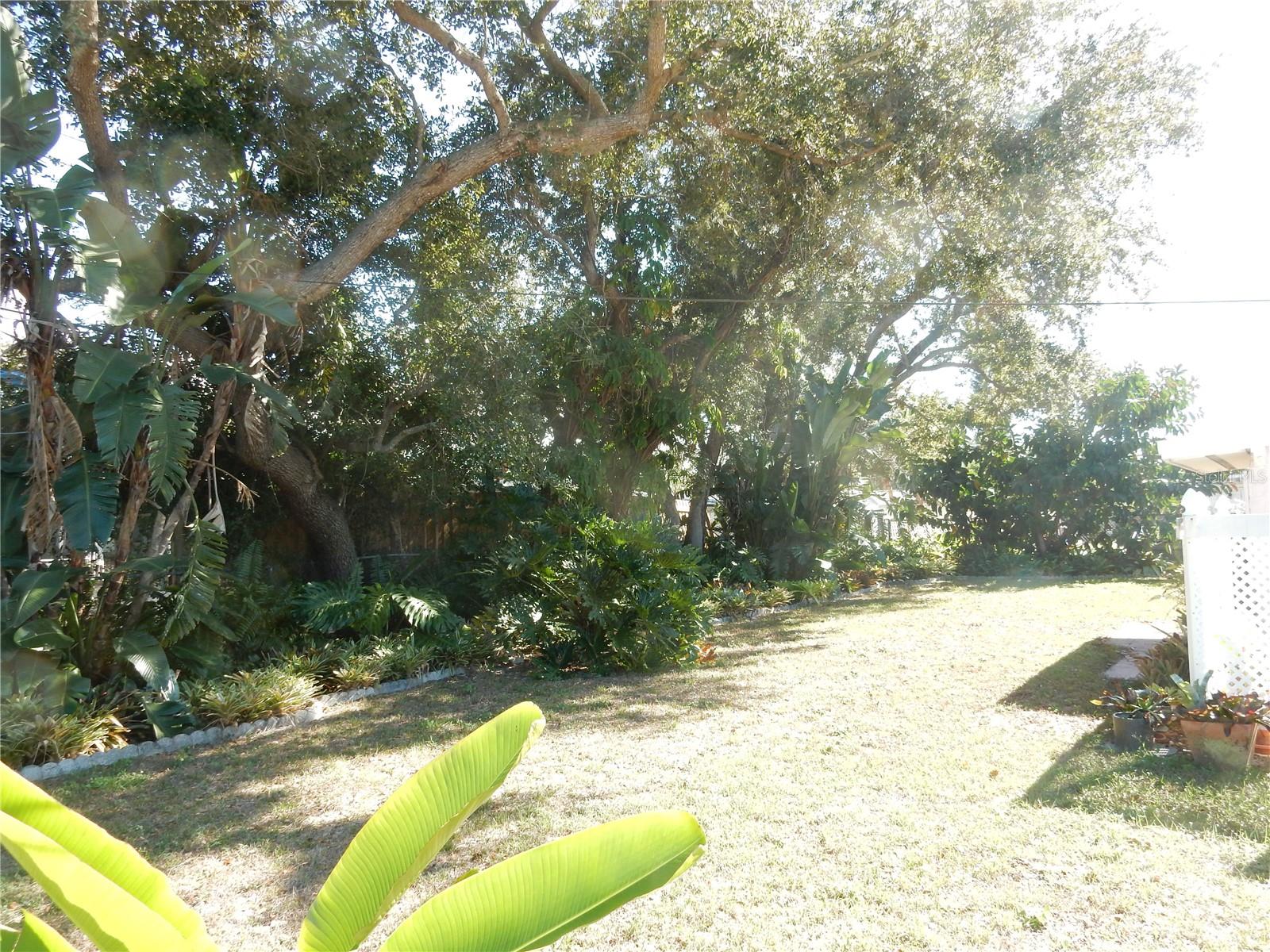 KENSINGTON PARK - Residential