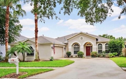 Photo of 4303 Orange Ridge Court, Valrico, FL 33596 (MLS # TB8506230)