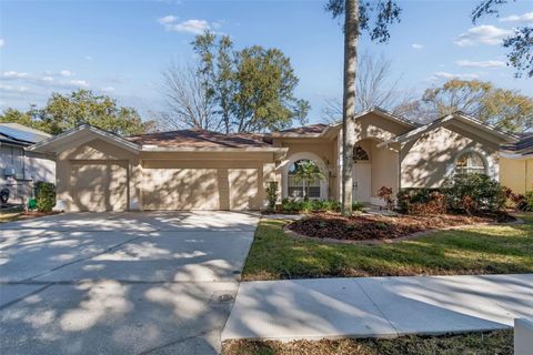 Photo of 9334 Hampshire Park Drive, Tampa, FL 33647 (MLS # TB8461817)