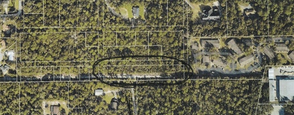 NELSON AVE, ORMOND BEACH, FL 32174 - Image cf4de579e3ca6a8e02ccb1ade92cbb5a/4088345499