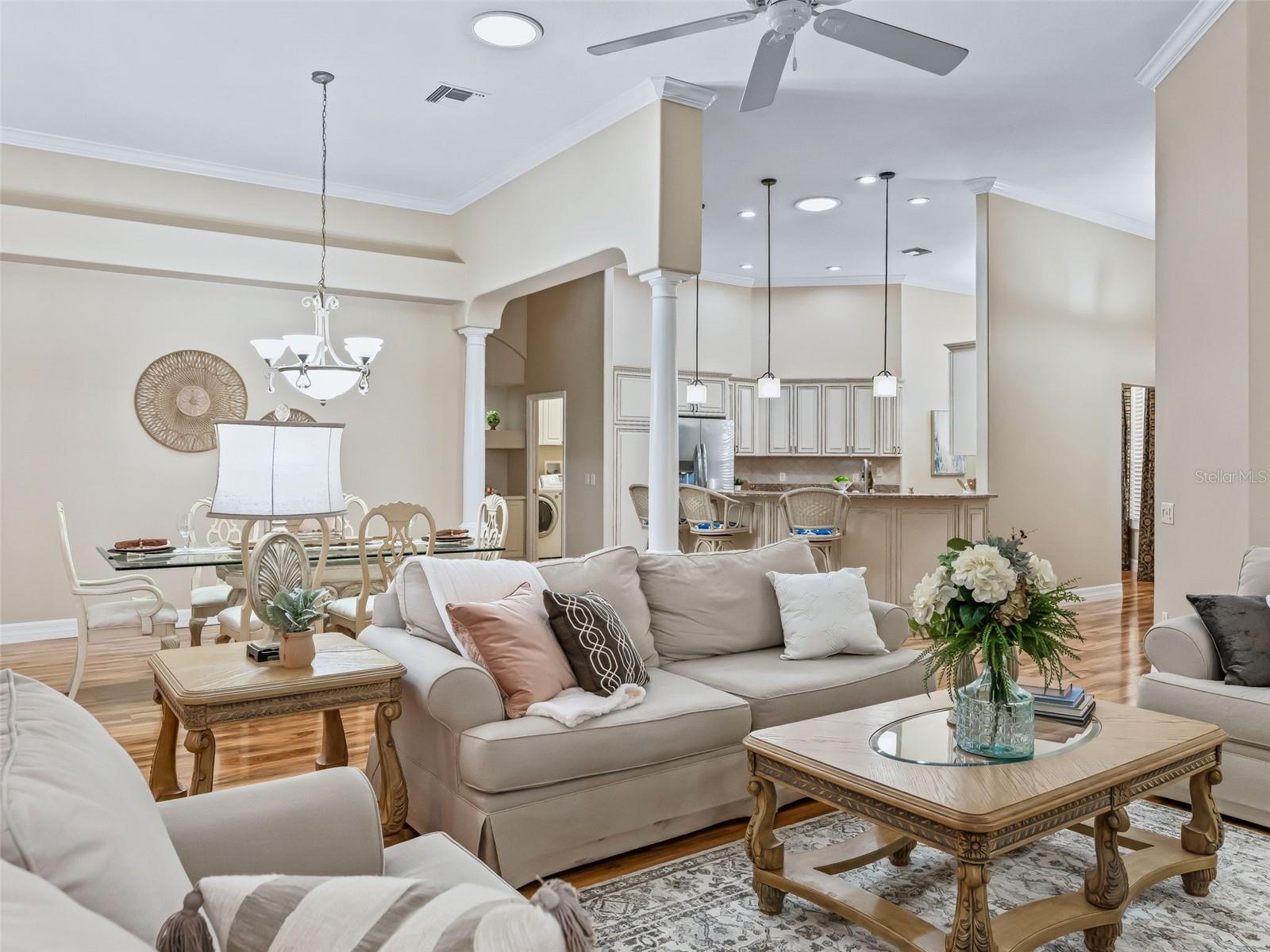 THE VILLAGES - Residential