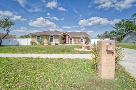 A home in PLANT CITY