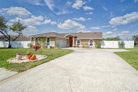 A home in PLANT CITY