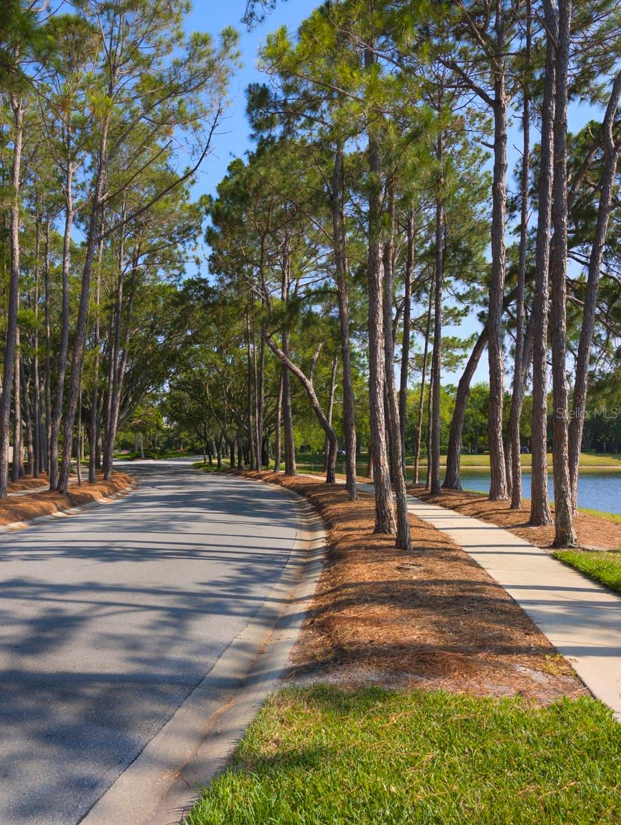 OVERLOOK - Residential