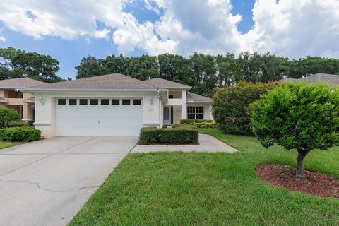 1049 TRAFALGAR DRIVE NEW PORT RICHEY FL 34655
