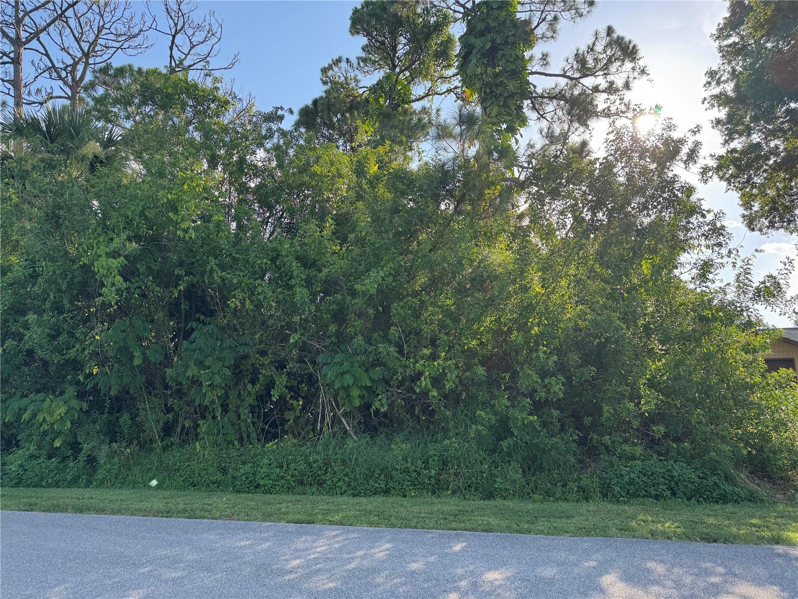 Vacant lot in established subdivision: Mature trees and peaceful setting just west of US1. Minutes away from shopping, dining, beaches and regional amenities of Vero Beach and Gifford. No HOA’s
