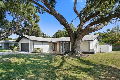 1211 STONY BROOK LANE DUNEDIN FL 34698