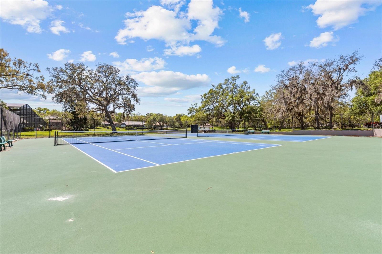 PINNACLE AT COBBS LANDING - Residential