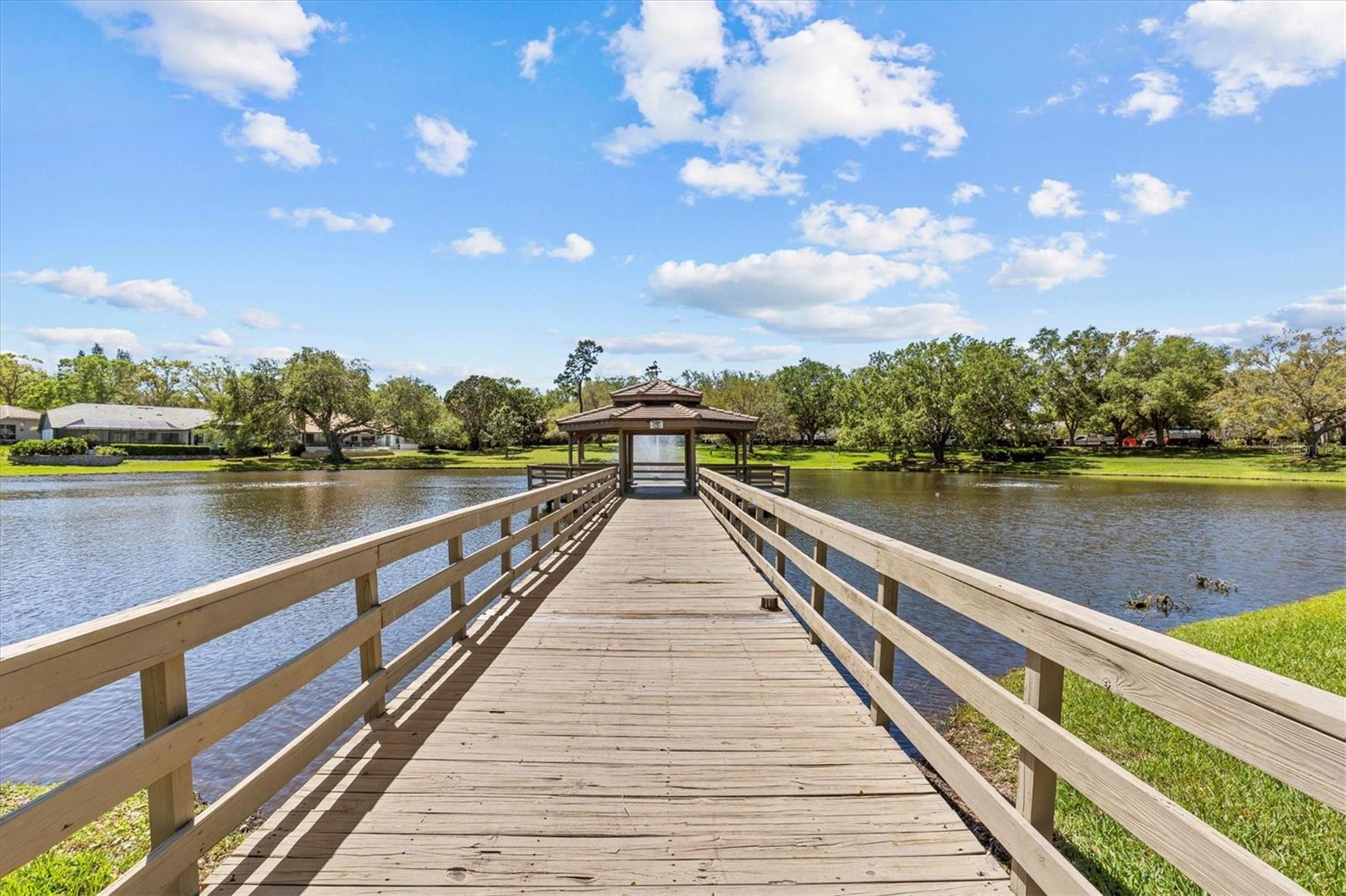 PINNACLE AT COBBS LANDING - Residential