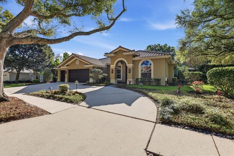 2111 PINNACLE CIRCLE N PALM HARBOR FL 34684