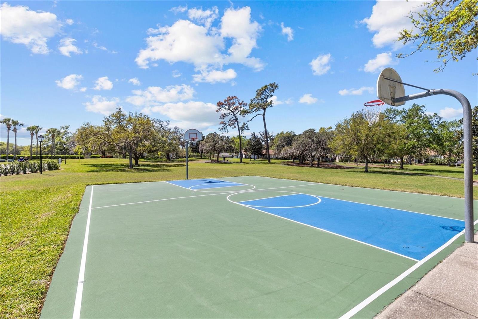 PINNACLE AT COBBS LANDING - Residential