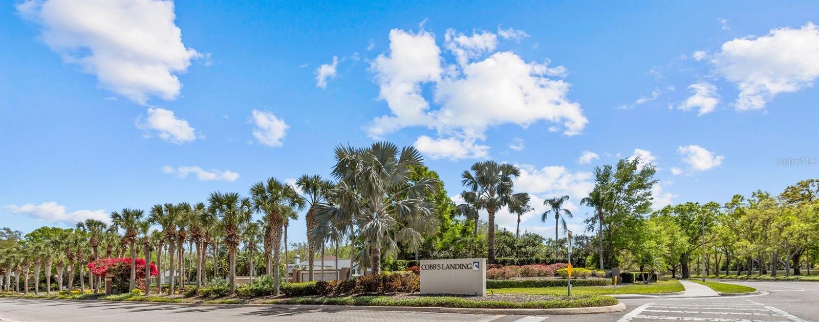 PINNACLE AT COBBS LANDING - Residential