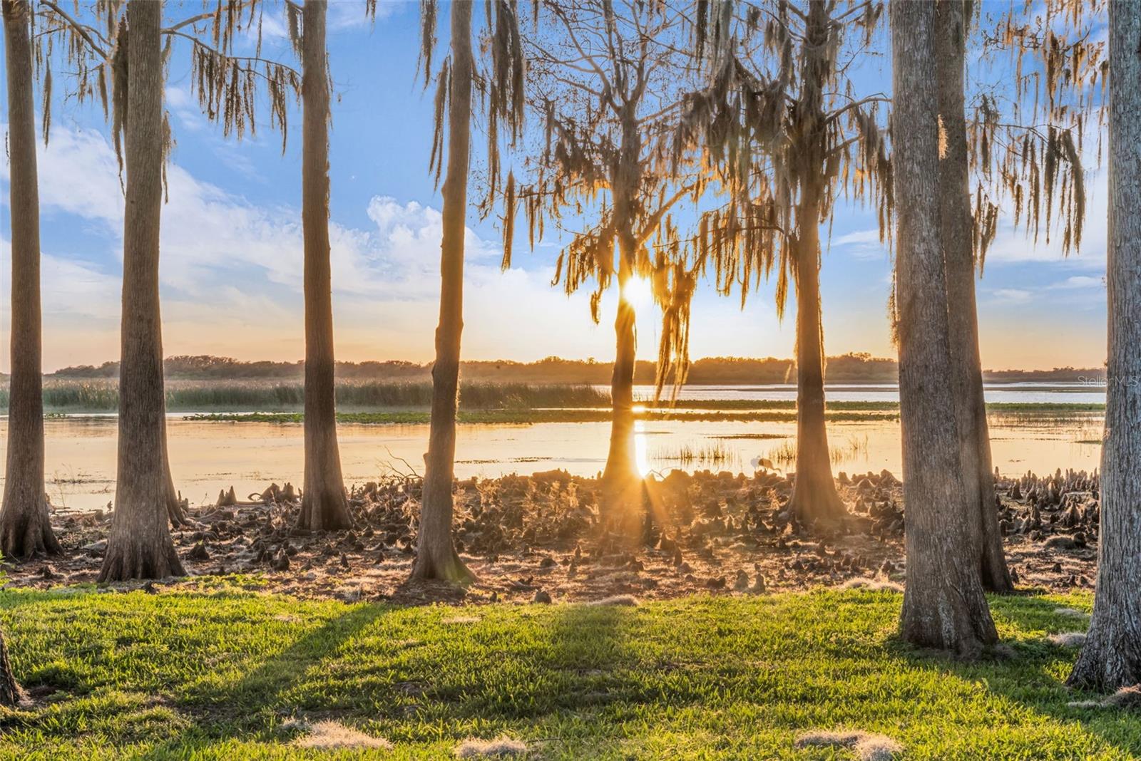 REGAL BAY - Residential