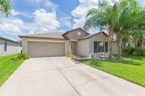 A home in RIVERVIEW