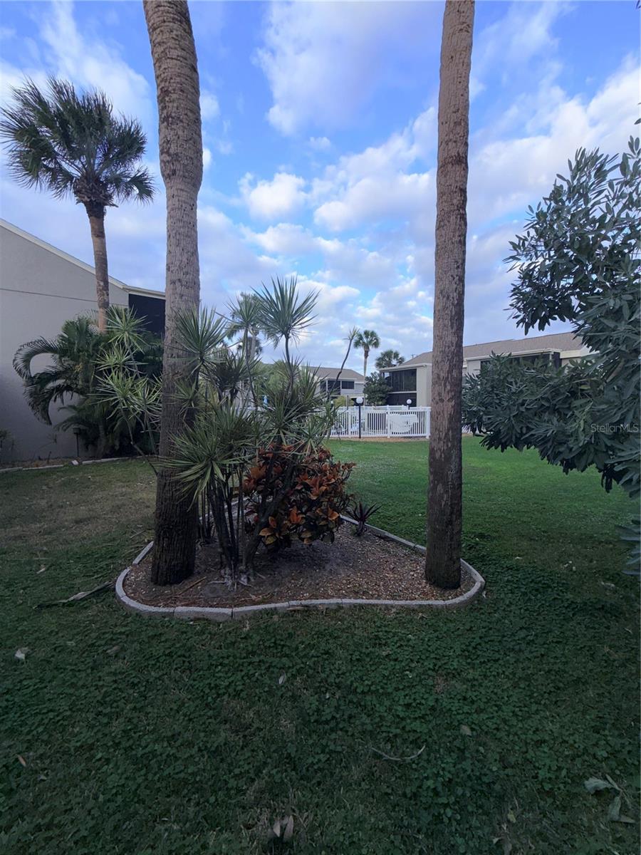 PEBBLE SPGS CLUSTER 5 - Residential Lease