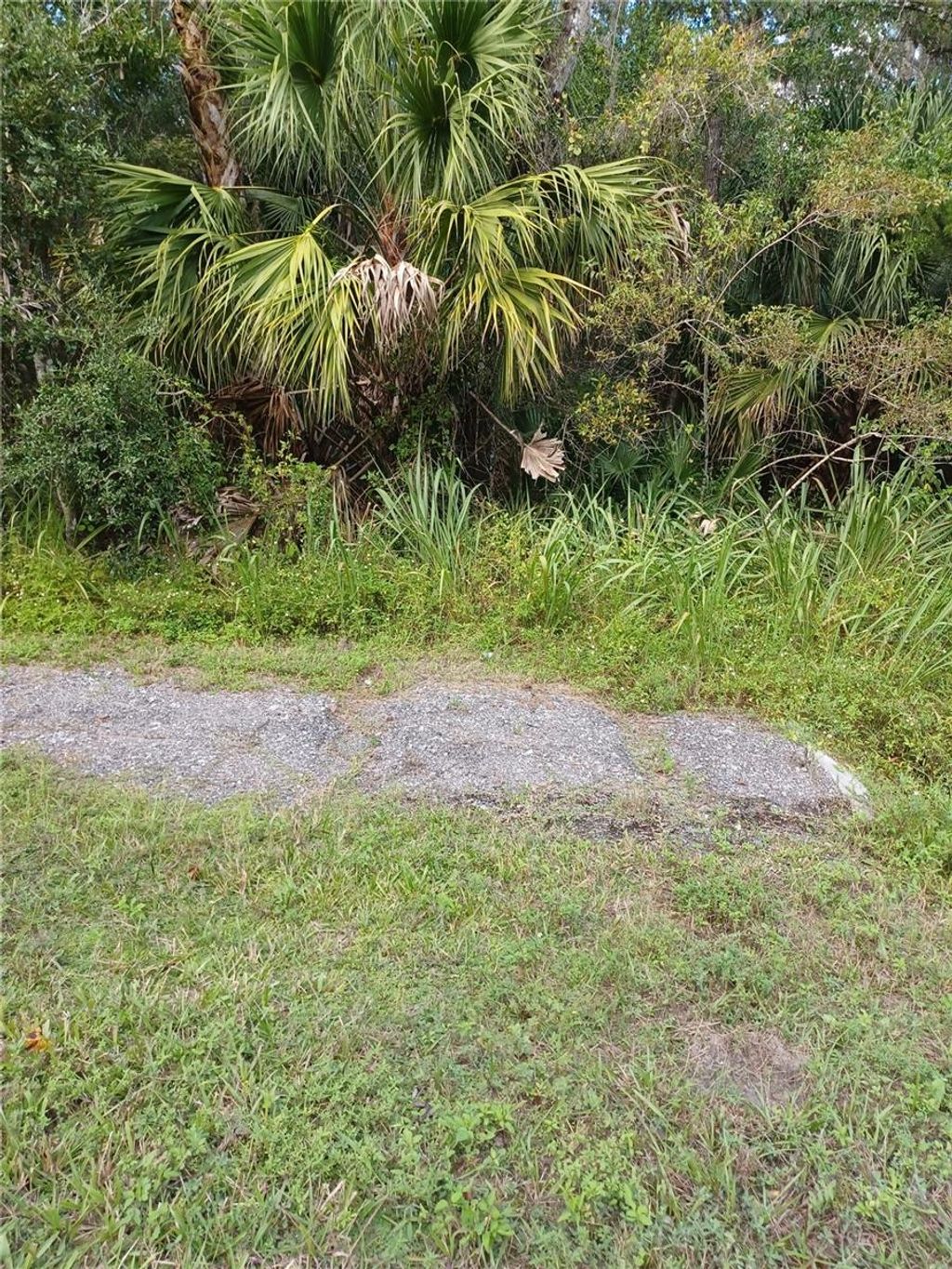 Photo of Lake Harney Road, Geneva, FL 32732 (MLS # V4945625)