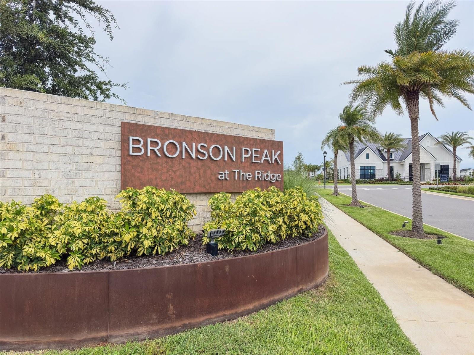 BRONSON PEAK PH 2A - Residential Lease