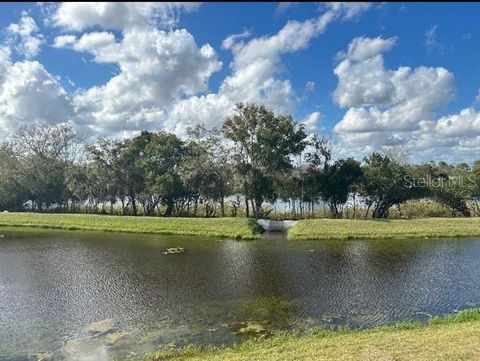 A home in LAND O LAKES