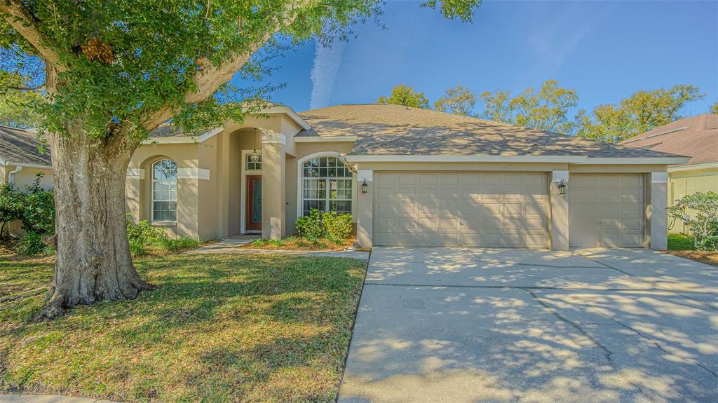 Photo of 12804 Big Sur Drive, Tampa, FL 33625 (MLS # TB8468733)