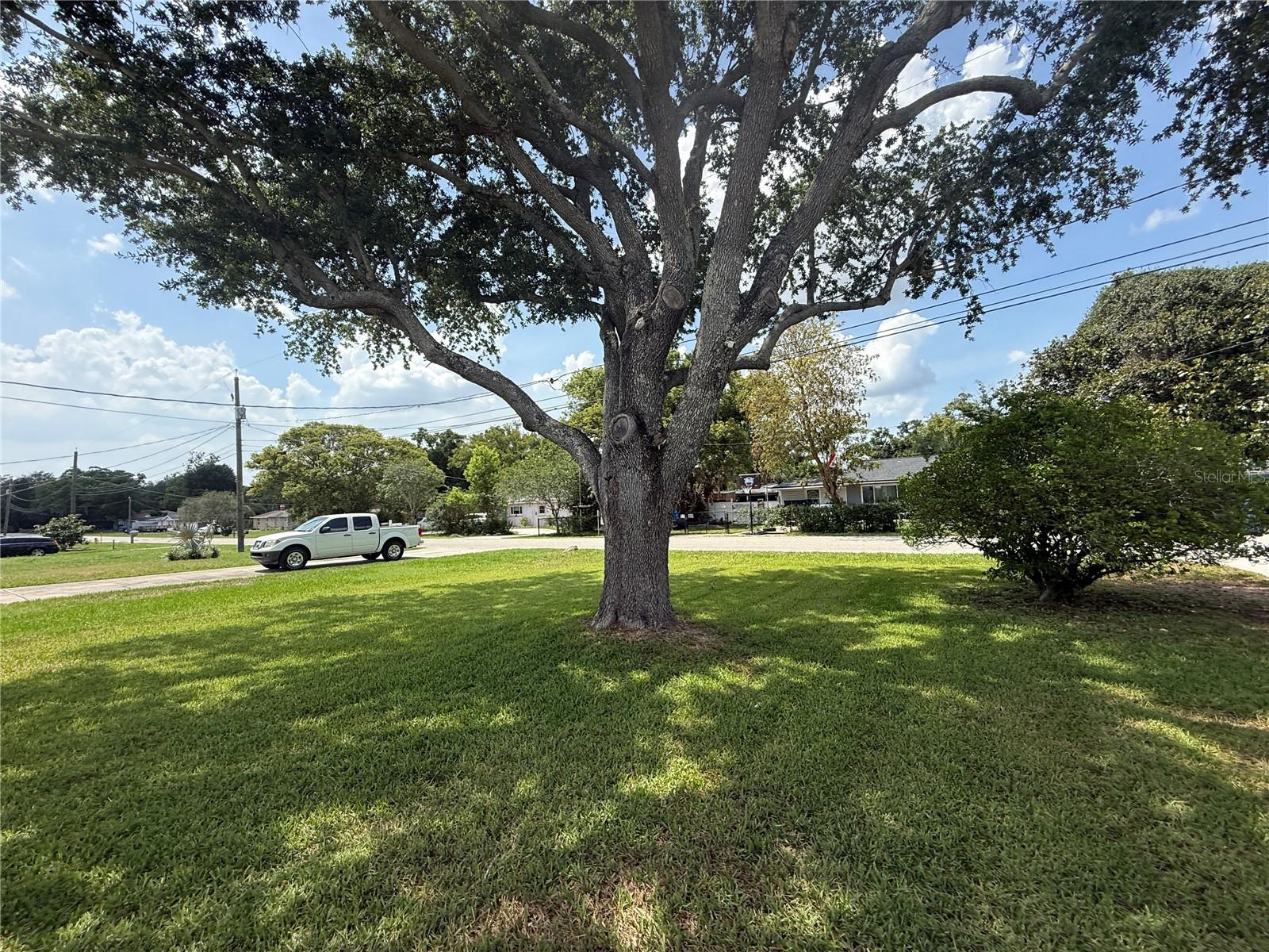 115 ELROD DRIVE