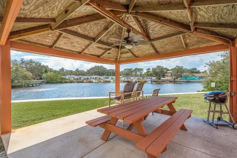 A home in PALM HARBOR