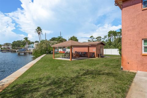 A home in PALM HARBOR