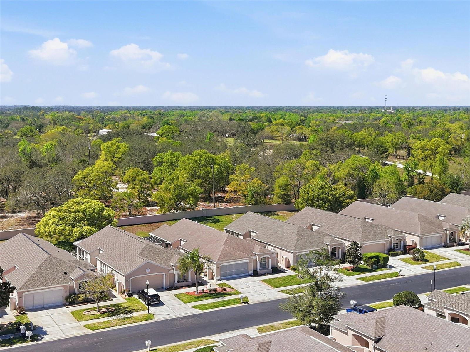 PALMS AT SEVEN HILLS - Residential