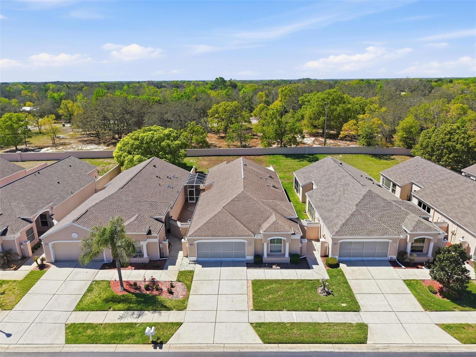 PALMS AT SEVEN HILLS - Residential