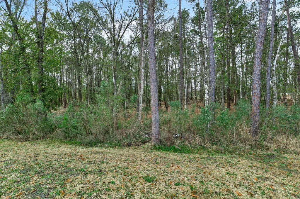 PINEWOOD PLACE - Residential