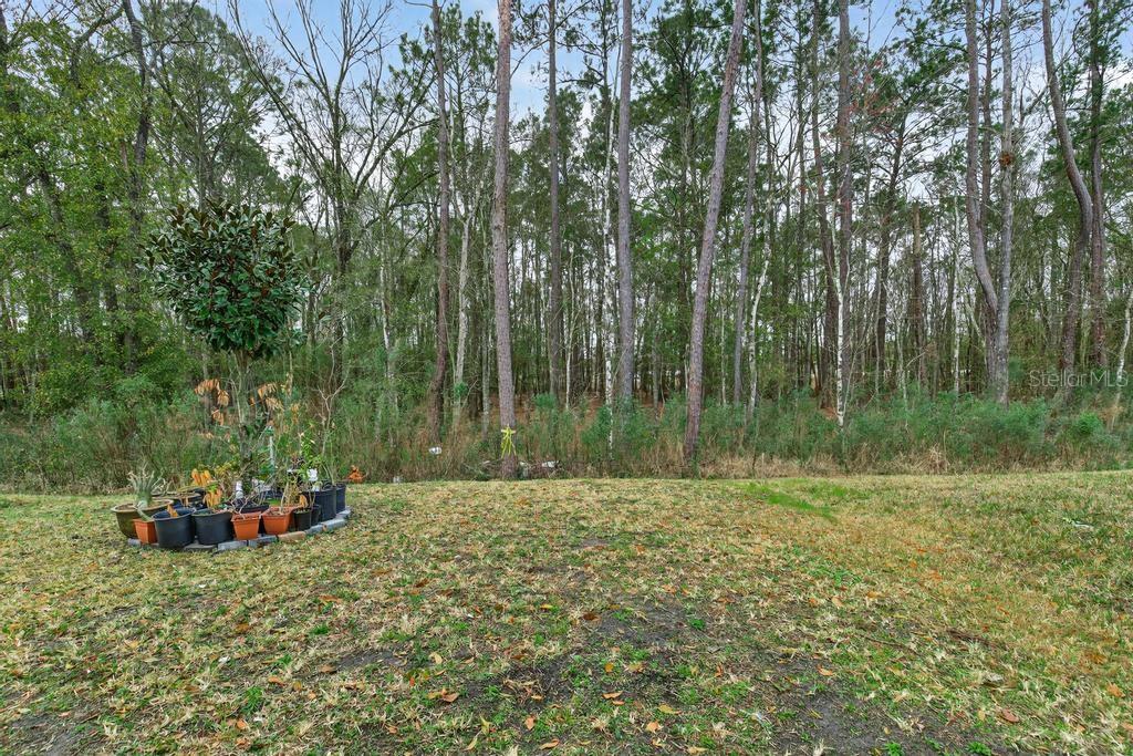 PINEWOOD PLACE - Residential