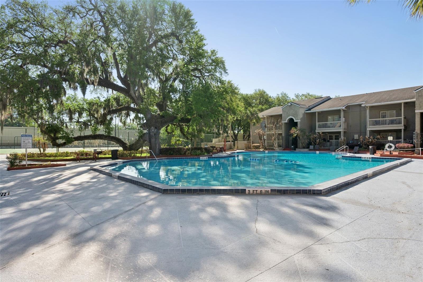 SERRAVELLA AT SPRING VALLEY A CONDO - Residential