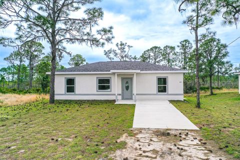 Photo of 1417 Bittersweet Street, Lake Placid, FL 33852 (MLS # L4959171)