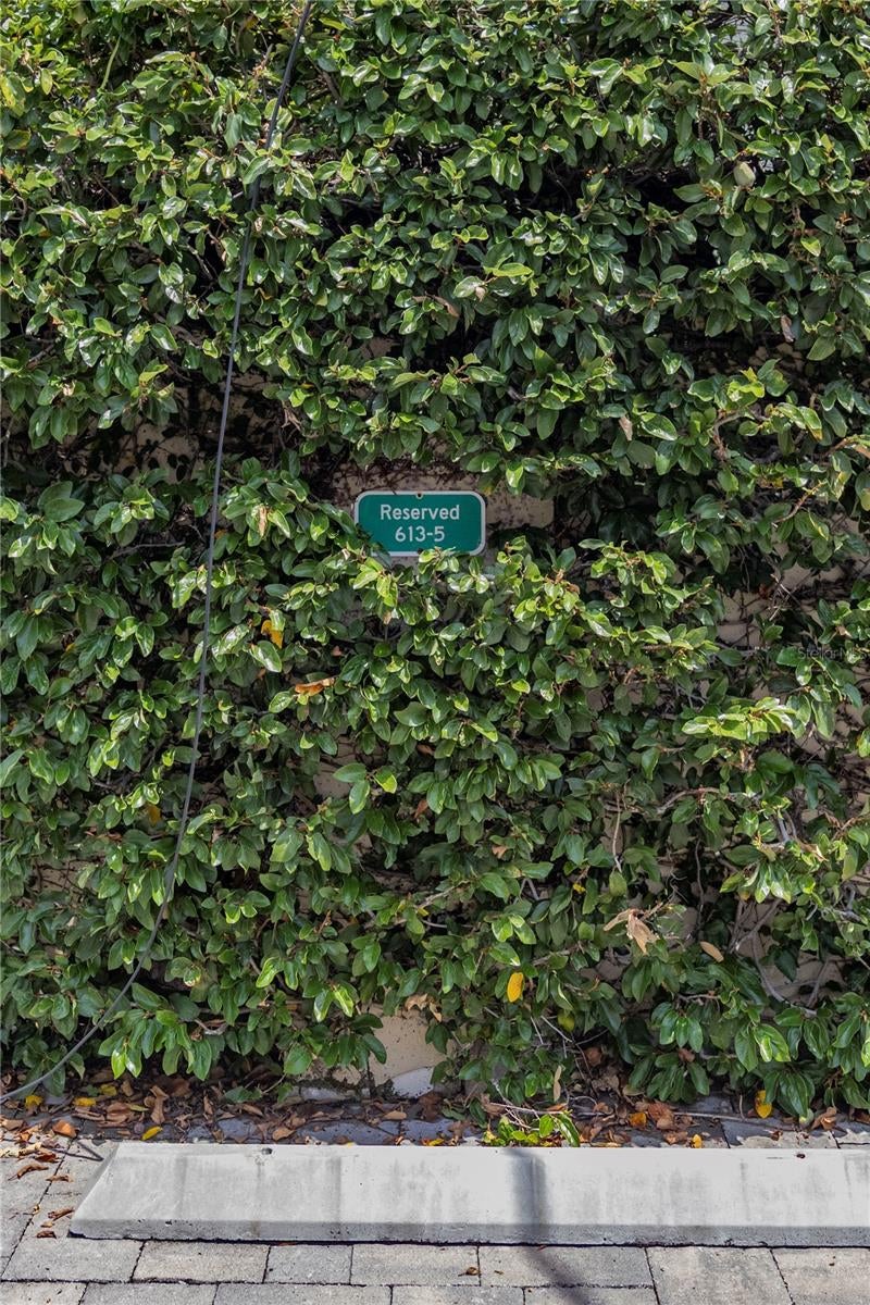Photo of 613 E Ridgewood Street #5, Orlando, FL 32803 (MLS # O6437940)