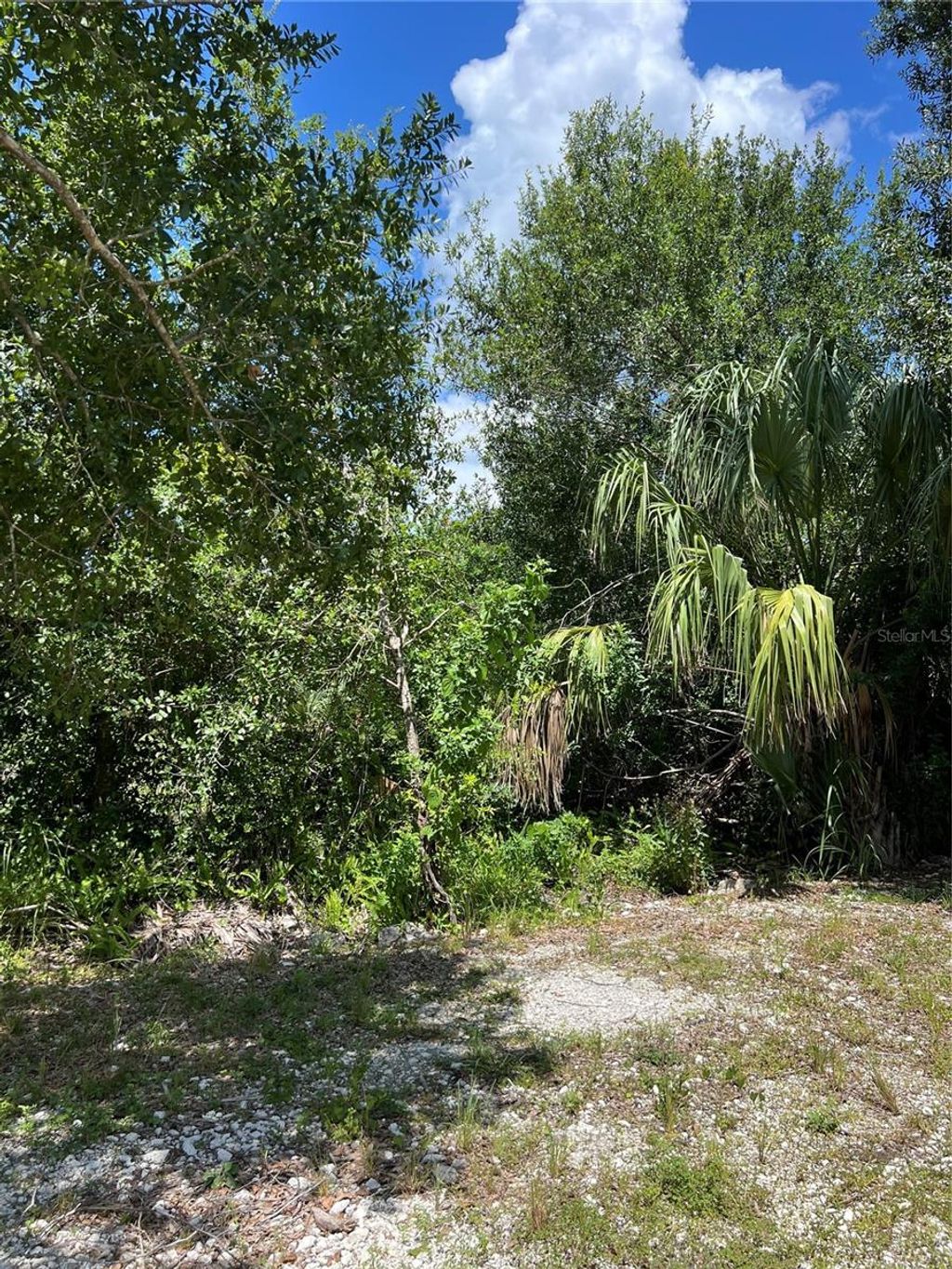 Photo of 527 Orange Brook Lane, Punta Gorda, FL 33982 (MLS # O6122240)