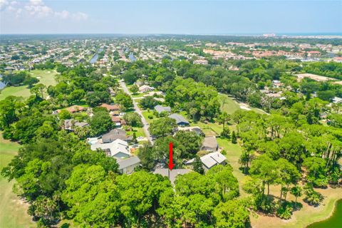 A home in PALM COAST