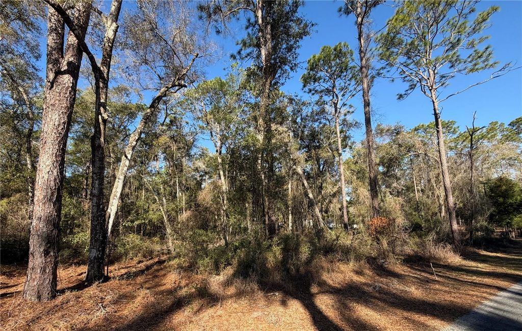 Photo of 5230 S Robert Blake Avenue, Inverness, FL 34452 (MLS # OM719418)