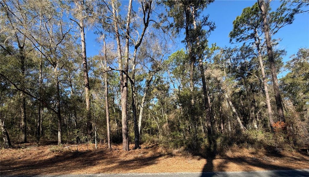 Photo of 5230 S Robert Blake Avenue, Inverness, FL 34452 (MLS # OM719418)