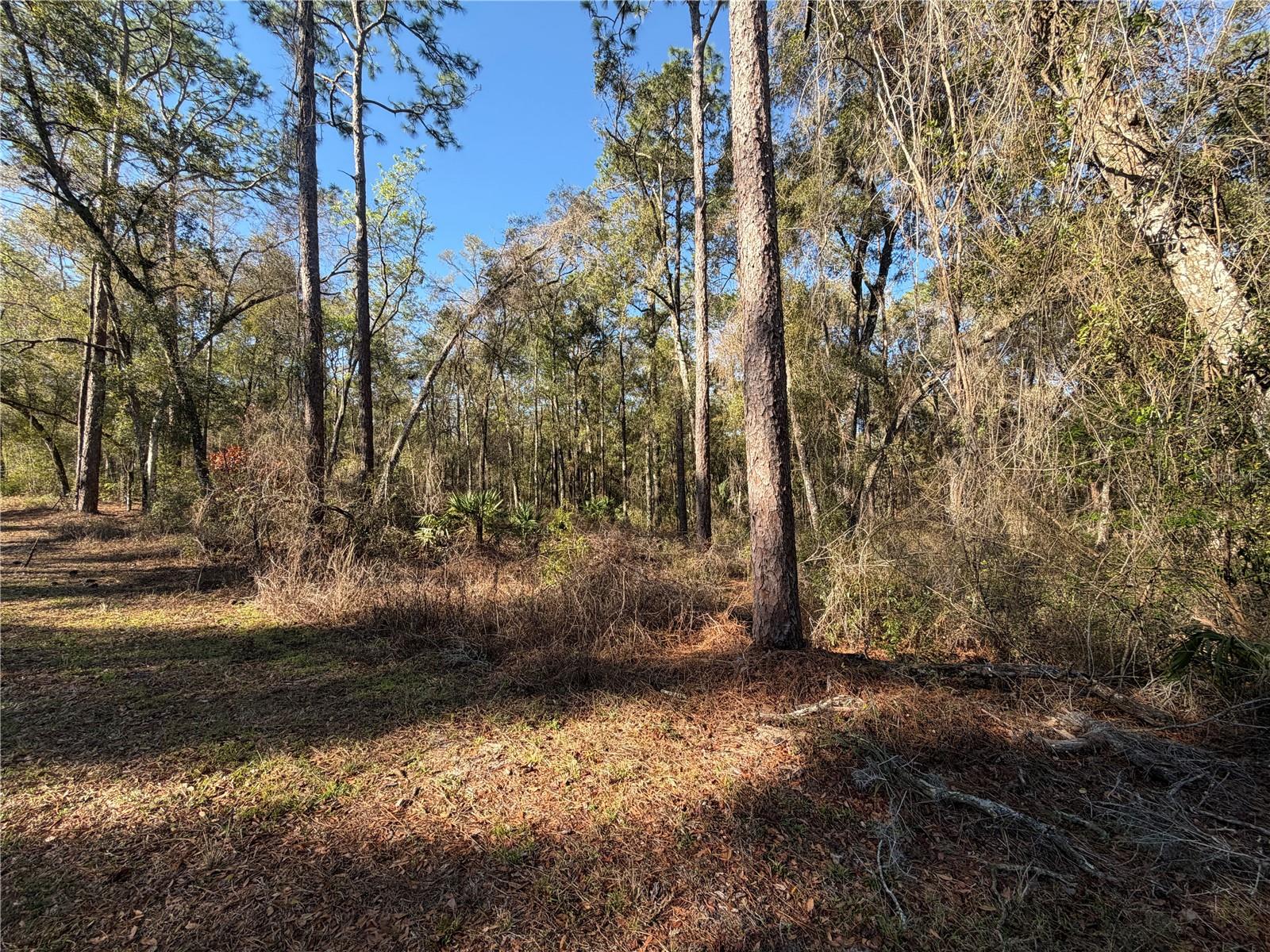 5230 S ROBERT BLAKE AVENUE