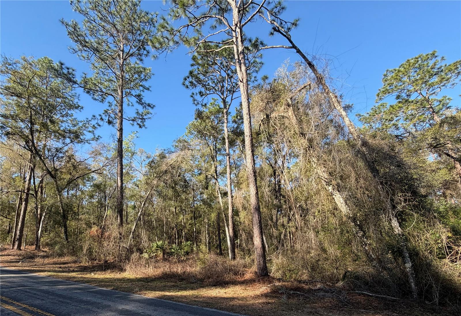 5230 S ROBERT BLAKE AVENUE