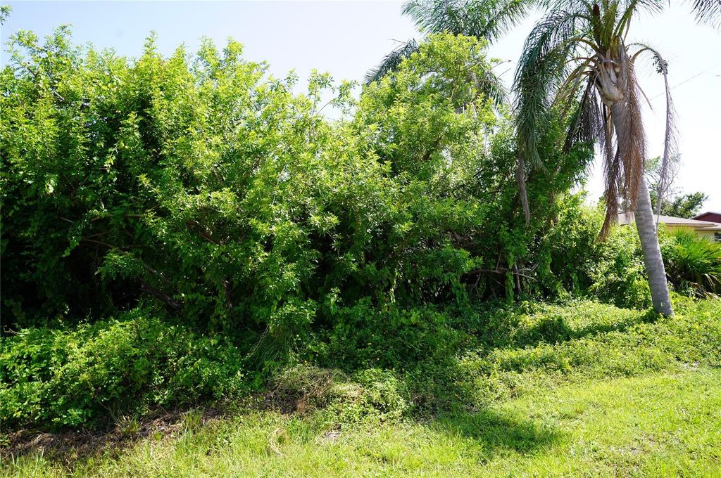 Photo of 507 Meridan Avenue NW, Port Charlotte, FL 33952 (MLS # C7478312)