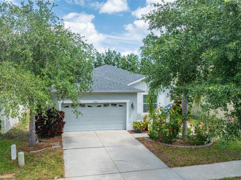 Photo of 13803 Chalk Hill Pl, Riverview, FL 33579 (MLS # TB8390360)